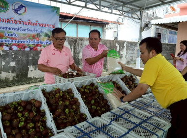 สหกรณ์จังหวัดบุรีรัมย์ ... พารามิเตอร์รูปภาพ 7